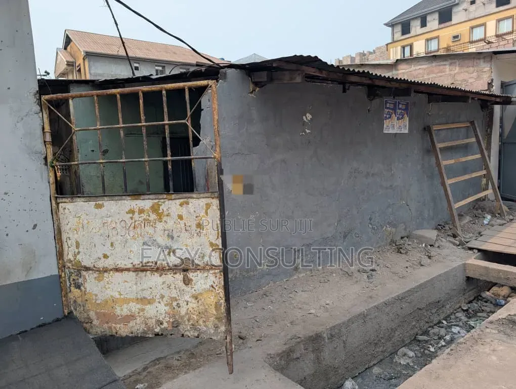 Parcelle À Vendre Sur Le Macadam À Lingwala — Kinshasa | 202,5 M2