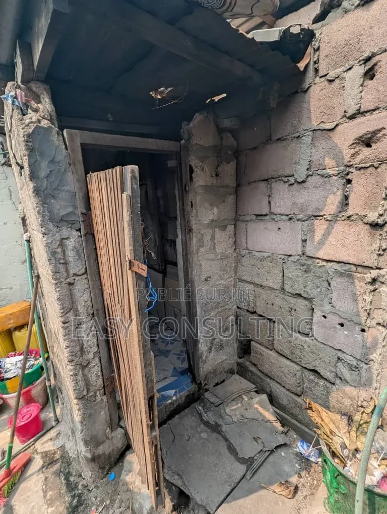 Parcelle À Vendre Sur Le Macadam À Lingwala — Kinshasa | 202,5 M2