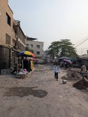 Parcelles À Vendre À Barumbu — Proche Du Macadam