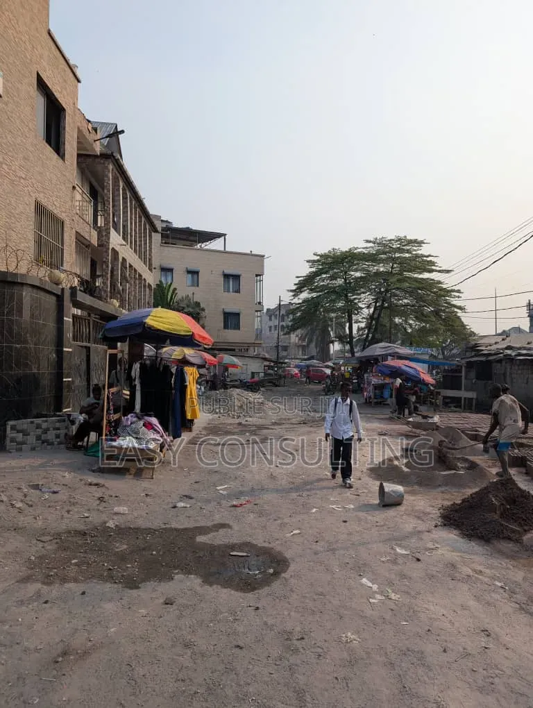 Parcelles À Vendre À Barumbu — Proche Du Macadam