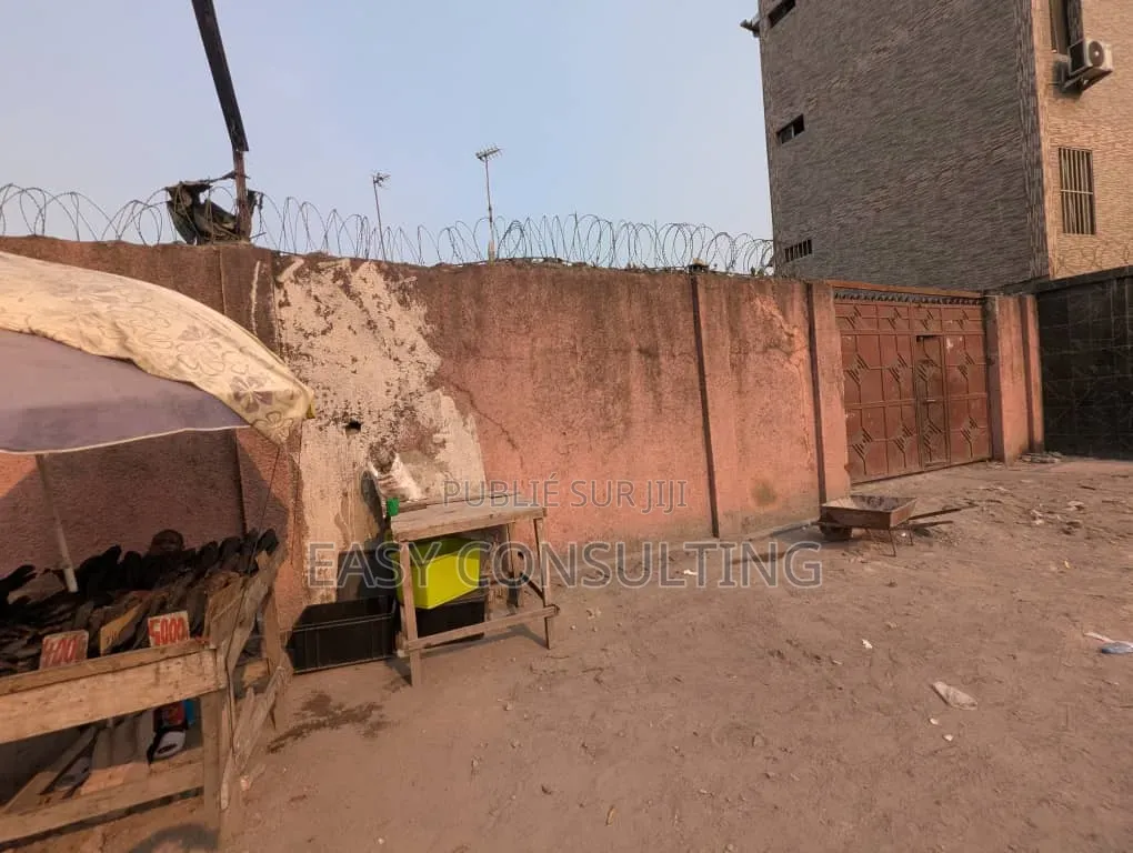 Parcelles À Vendre À Barumbu — Proche Du Macadam