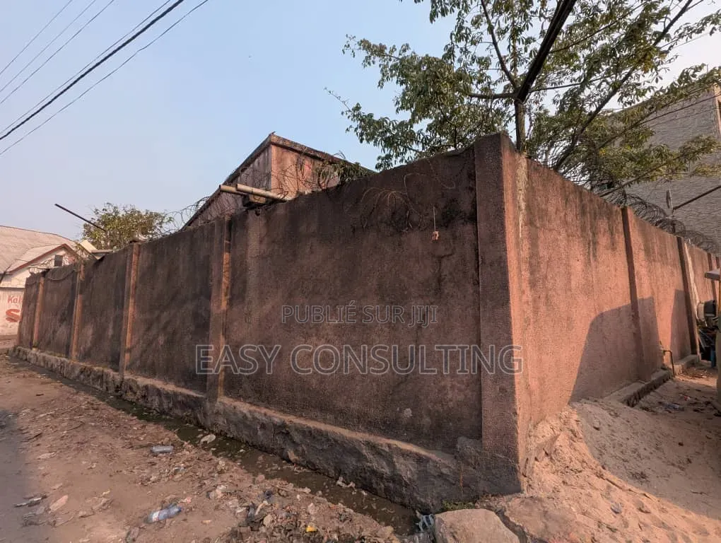 Parcelles À Vendre À Barumbu — Proche Du Macadam