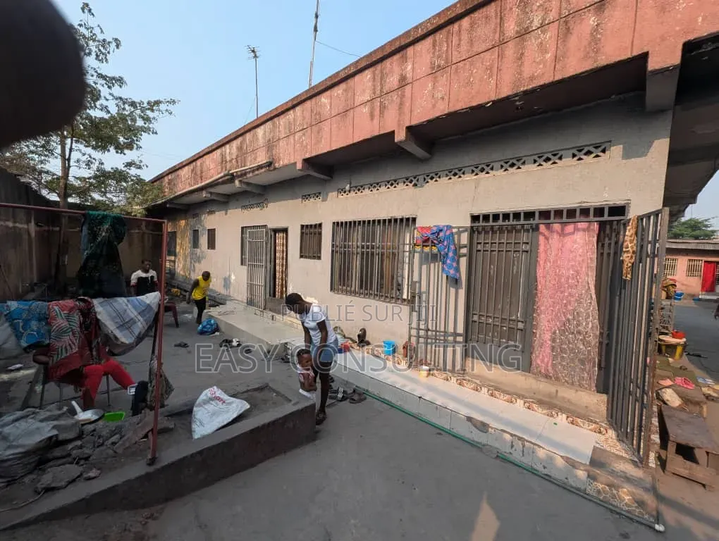 Parcelles À Vendre À Barumbu — Proche Du Macadam