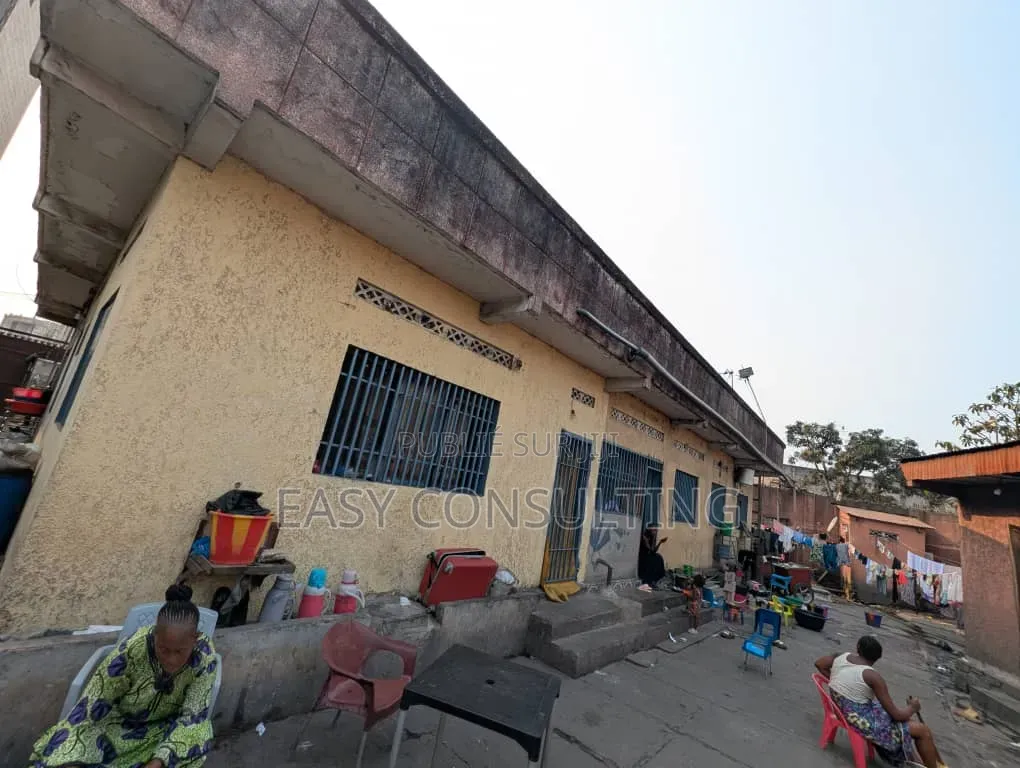 Parcelles À Vendre À Barumbu — Proche Du Macadam