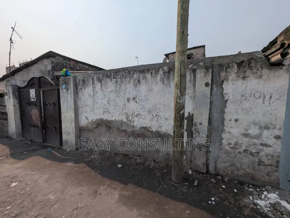 Parcelle À Vendre À Barumbu — 225 M2, Non Loin Du Macadam