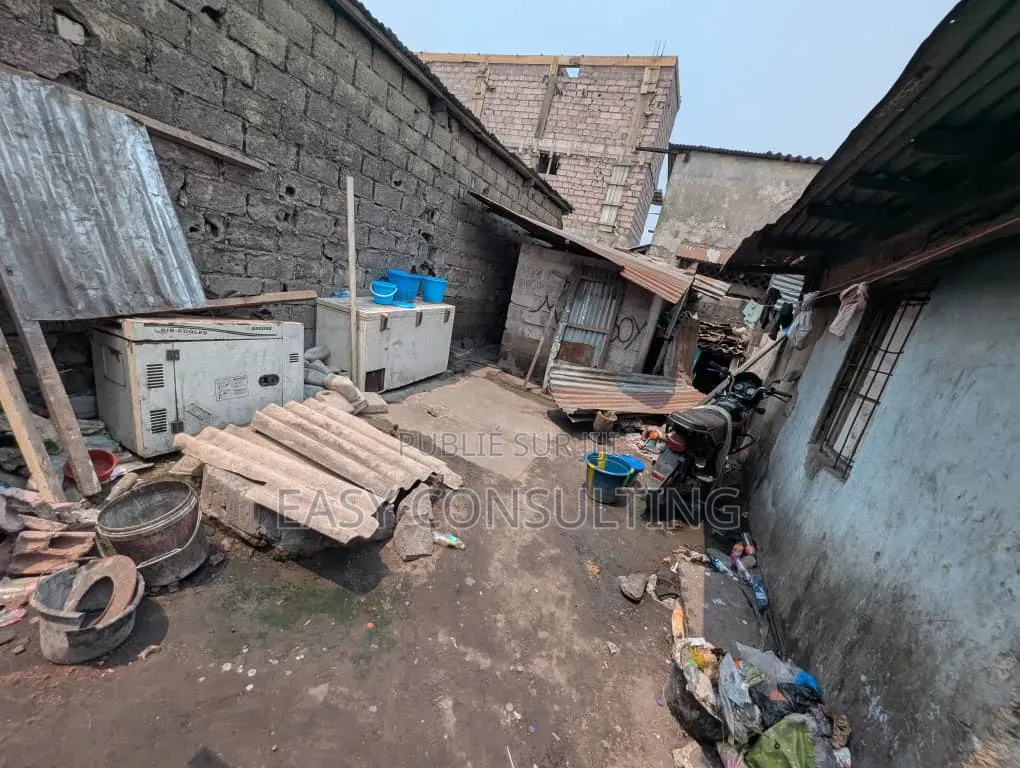 Parcelle À Vendre À Barumbu — 215,25 M2