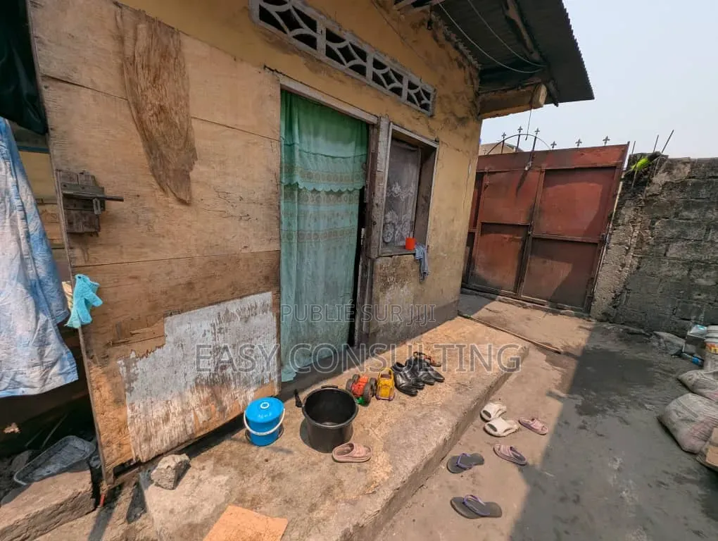 Parcelle À Vendre À Barumbu — 215,25 M2