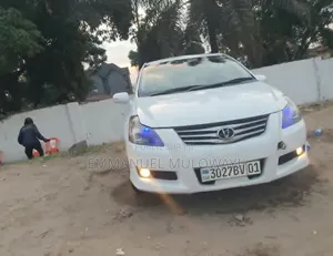 Toyota Blade 2010 Blanc