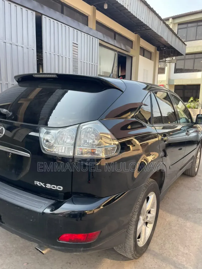 Lexus RX 2010 Noir