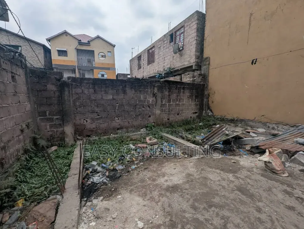 Terrain À Vendre À Limete – 1 Ère Rue Funa Forgeron