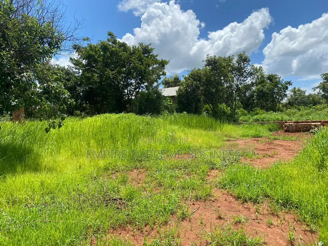  Vente D’une Concession De 9 Hectares
