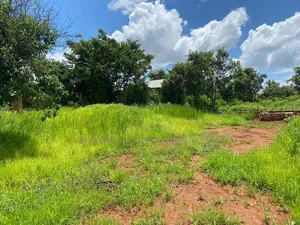 Vente D’une Concession De 9 Hectares

