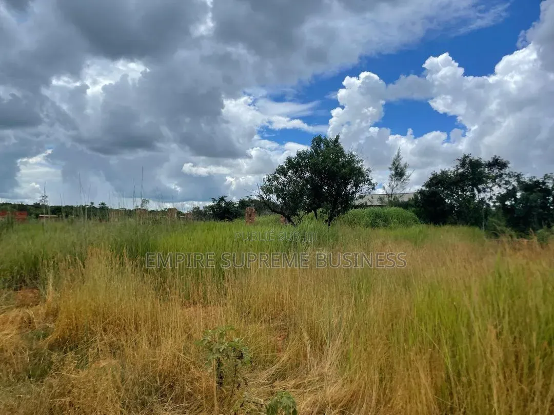  Vente D’une Concession De 9 Hectares
