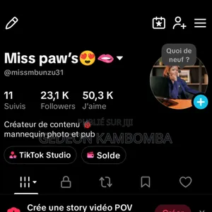 Boostage Des Vues Et Likes