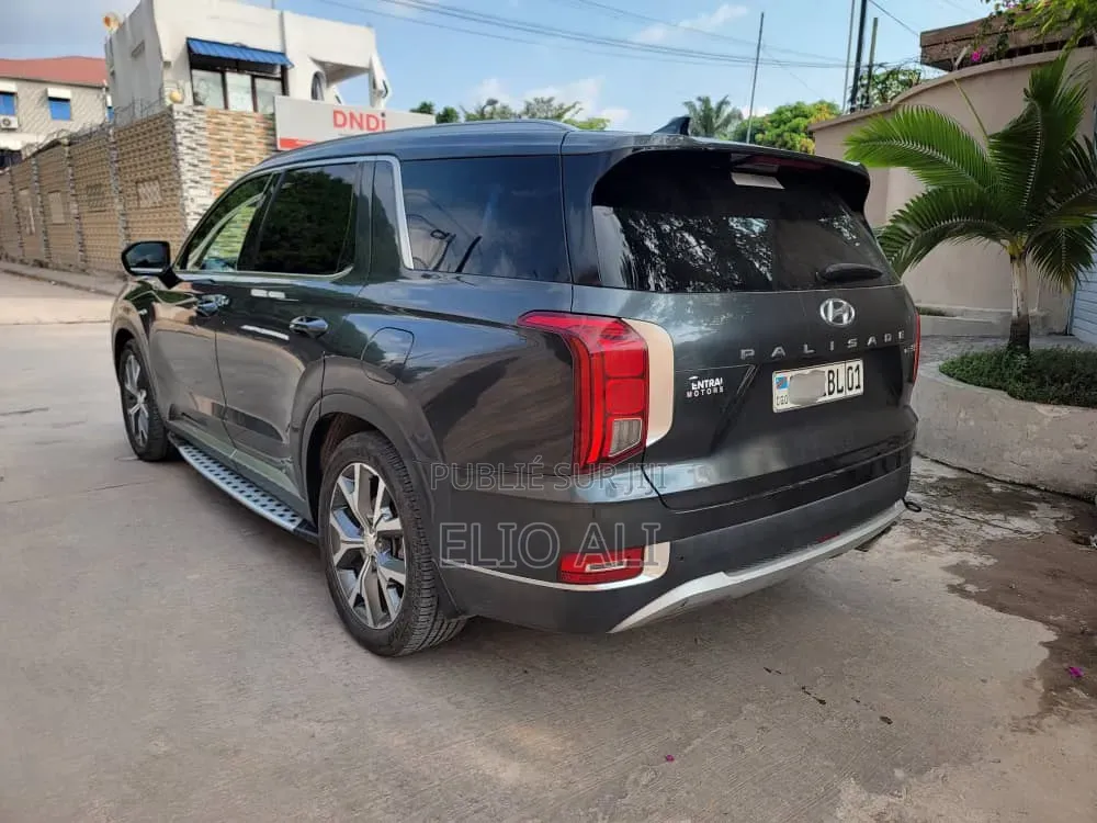 Hyundai Palisade Limited 2022 Gris