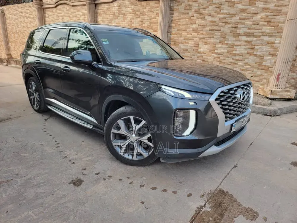 Hyundai Palisade Limited 2022 Gris