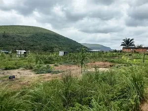 Terrains À Vendre, 1 Hectare