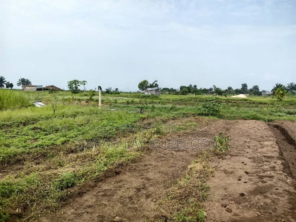 Terrains À Vendre, 1 Hectare