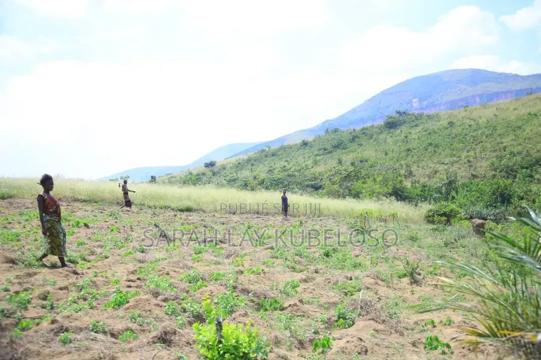 Terrains À Vendre, 1 Hectare