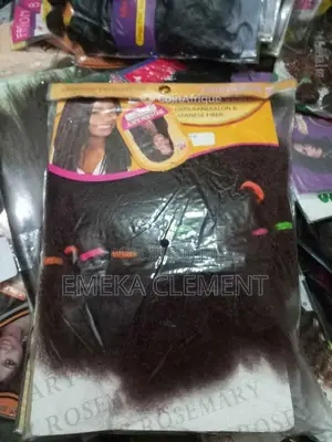 Braid locs et mèche