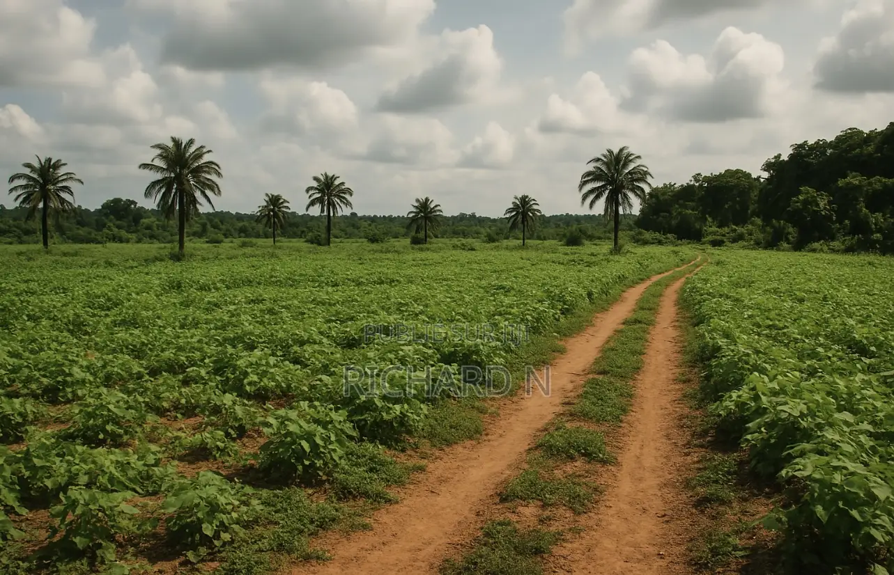 Terrain De 10 Hectares À Vendre