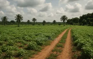 Terrain De 10 Hectares À Vendre