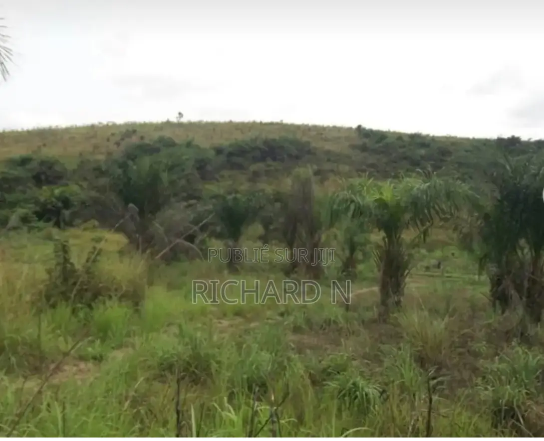 Terrain De 10 Hectares À Vendre